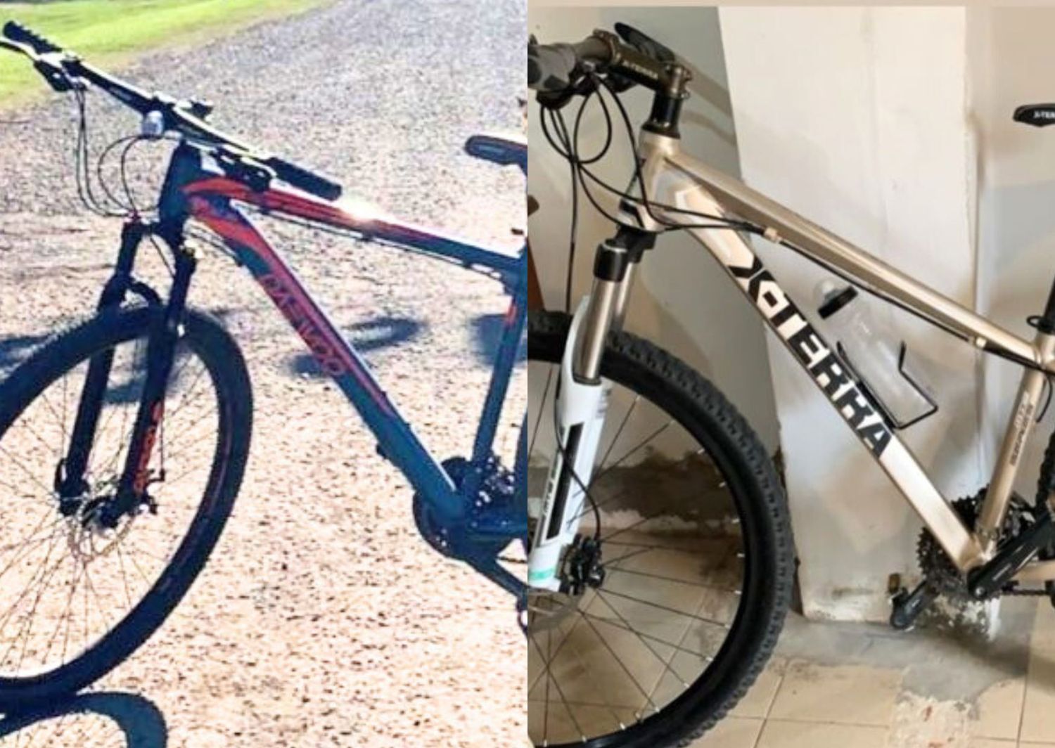 Las bicis robadas de adentro de la vivienda son marca X-terra y Daewoo Missouri.