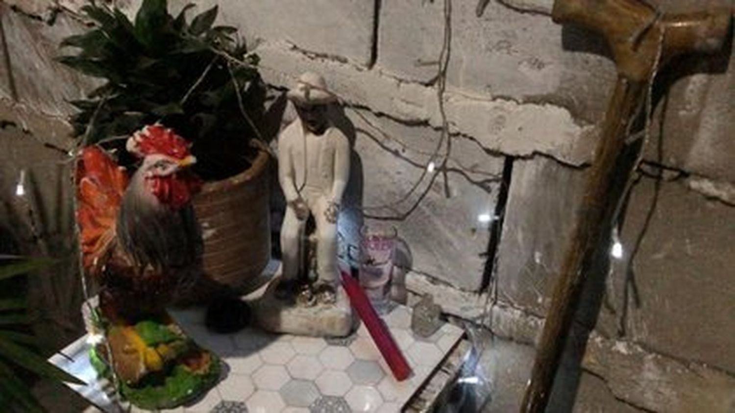 En Colombia cae banda de microtráfico que hacía brujería con gallos disecados para “protegerse de la policía”