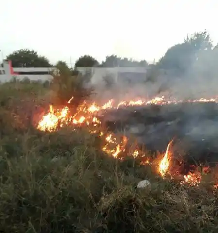 Varios incendios por las altas temperaturas