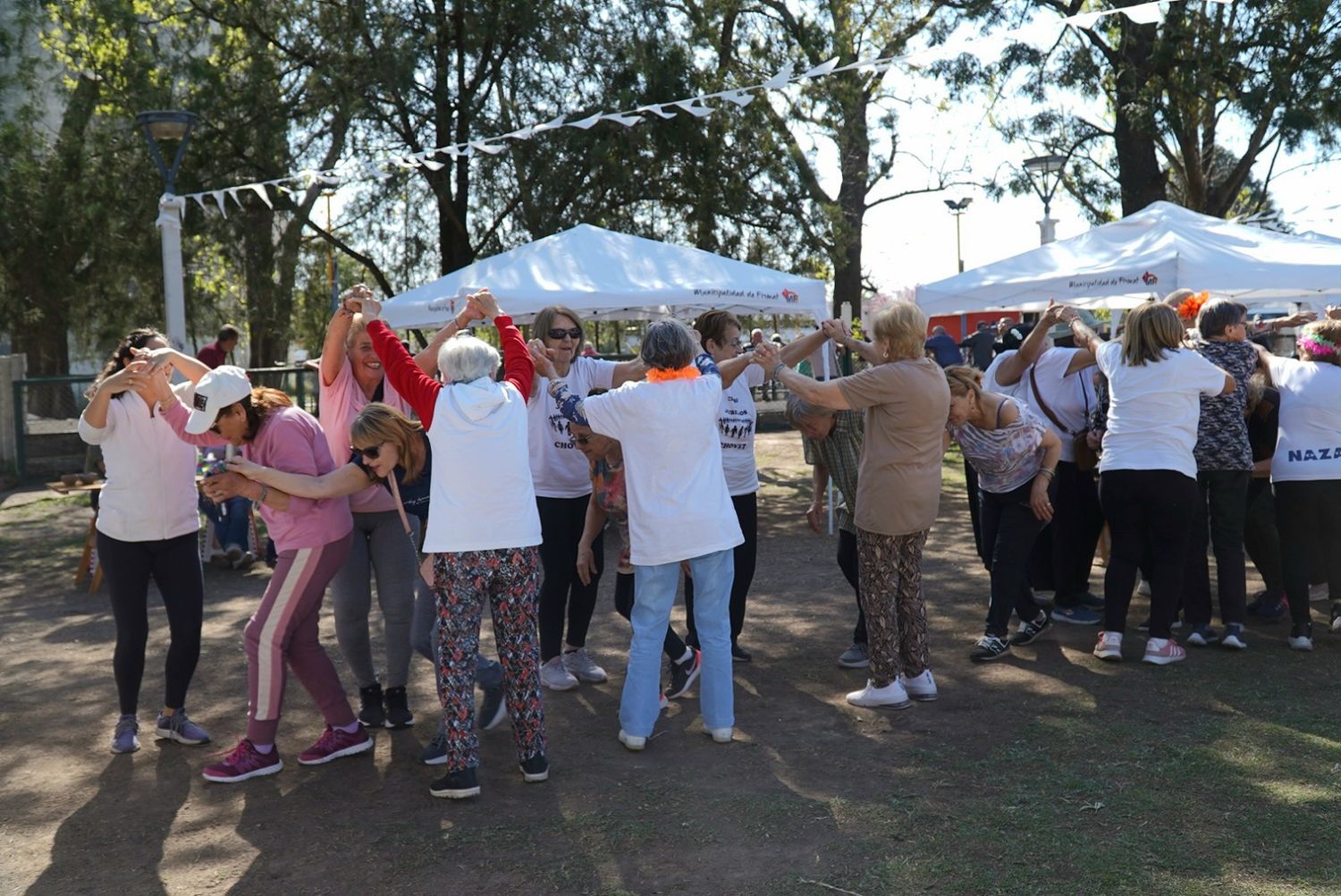 Los abuelos de Firmat y la región disfrutaron del encuentro.