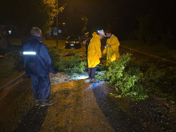 Alerta meteorológico: Temporal azotó a Junín y el Intendente Petrecca activó el protocolo de emergencia