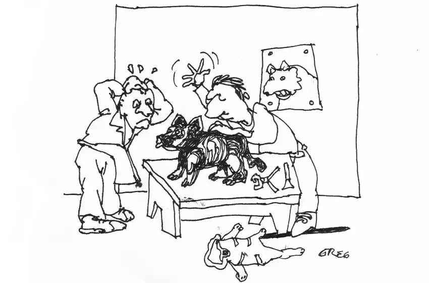 Nada es lo que parece