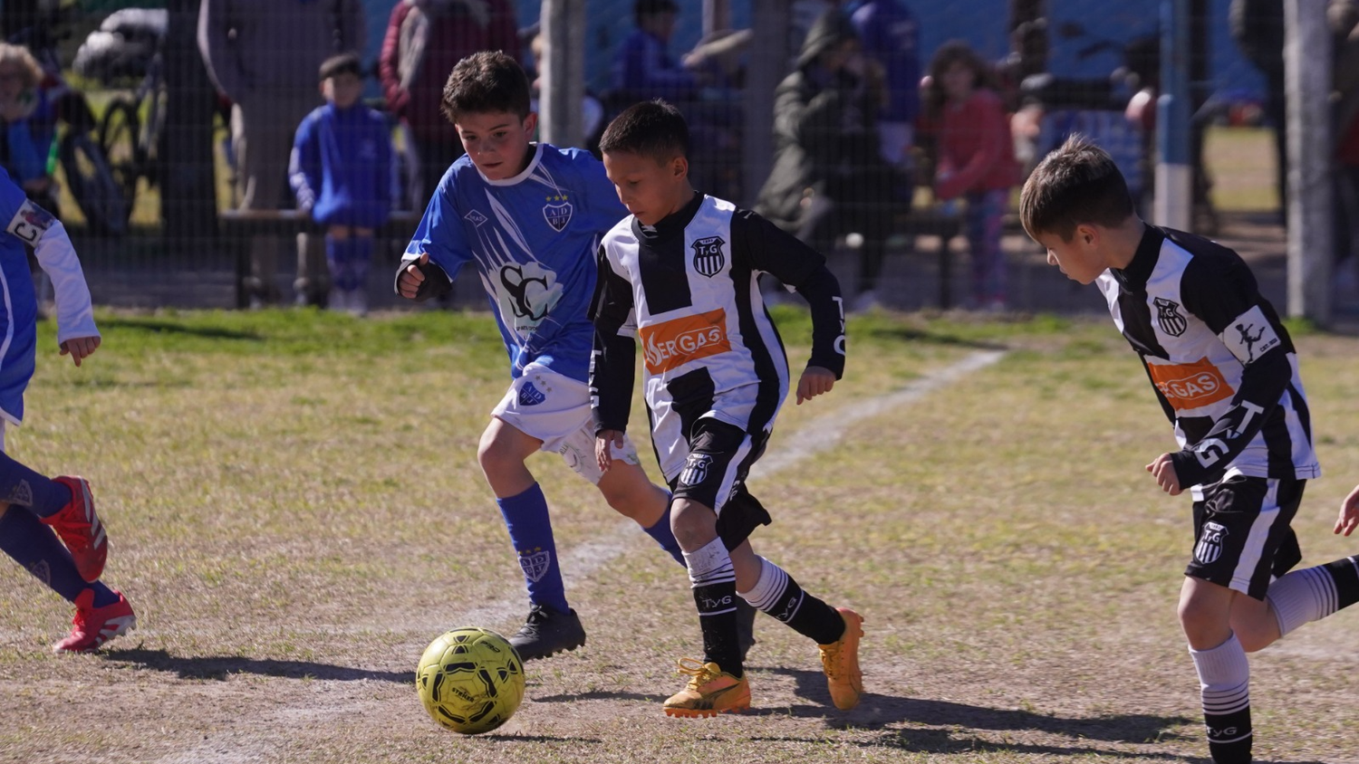 Pasó la séptima fecha del Clausura