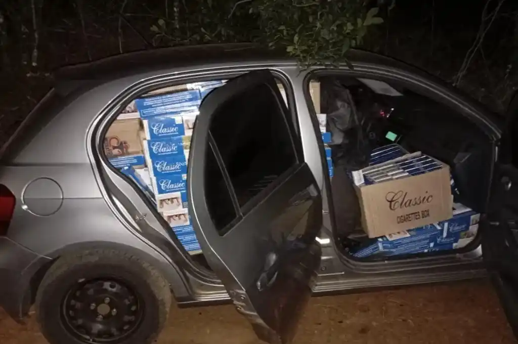 El operativo se realizó en el marco de la Ley N° 22.415, conocida como "Código Aduanero".