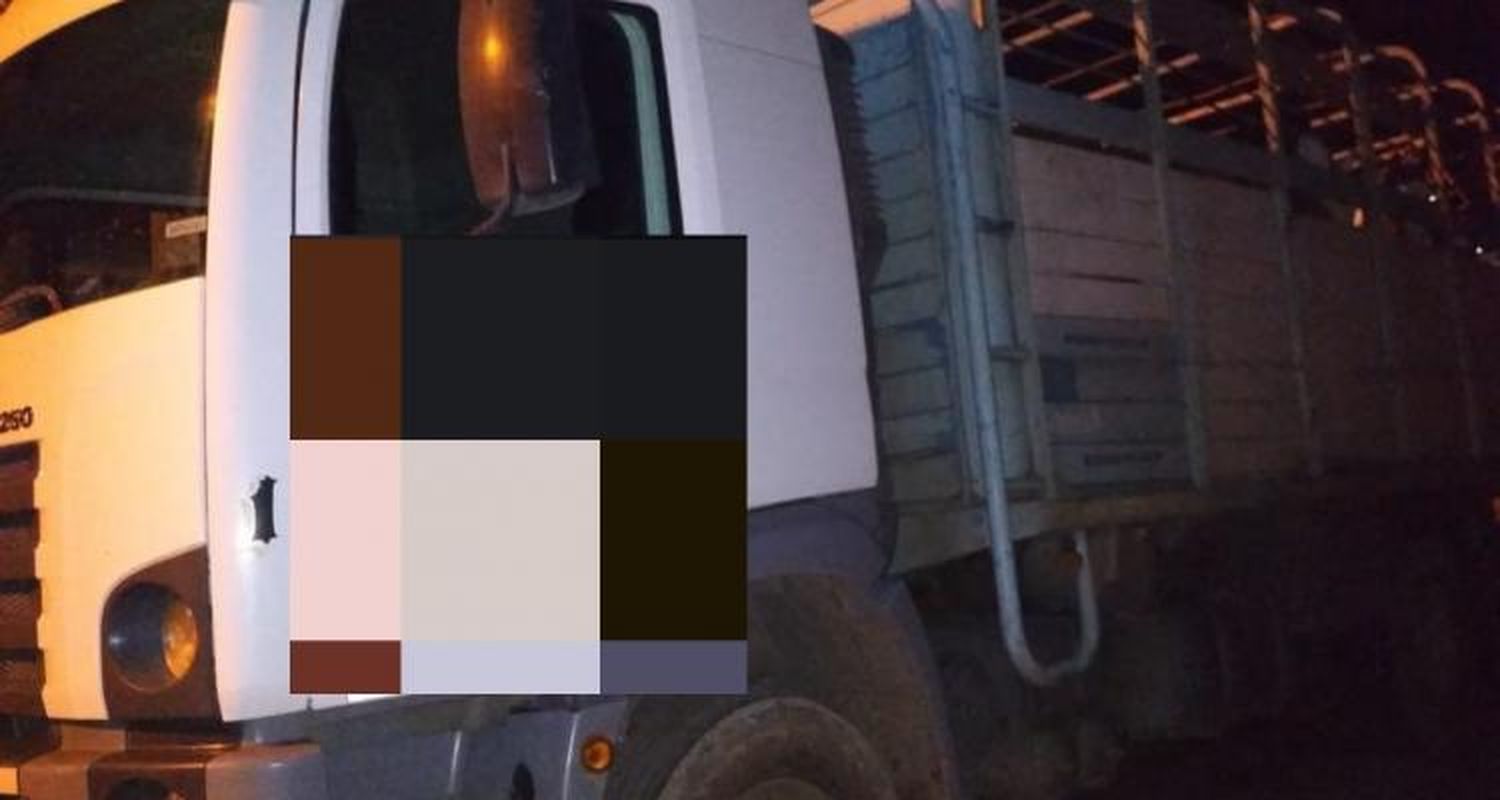 Infraccionan camión cargado con caballos por tener la documentación falsificada