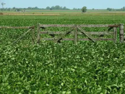 La Federación Agraria ratificó su rechazo al pago de una “regalía extendida” 