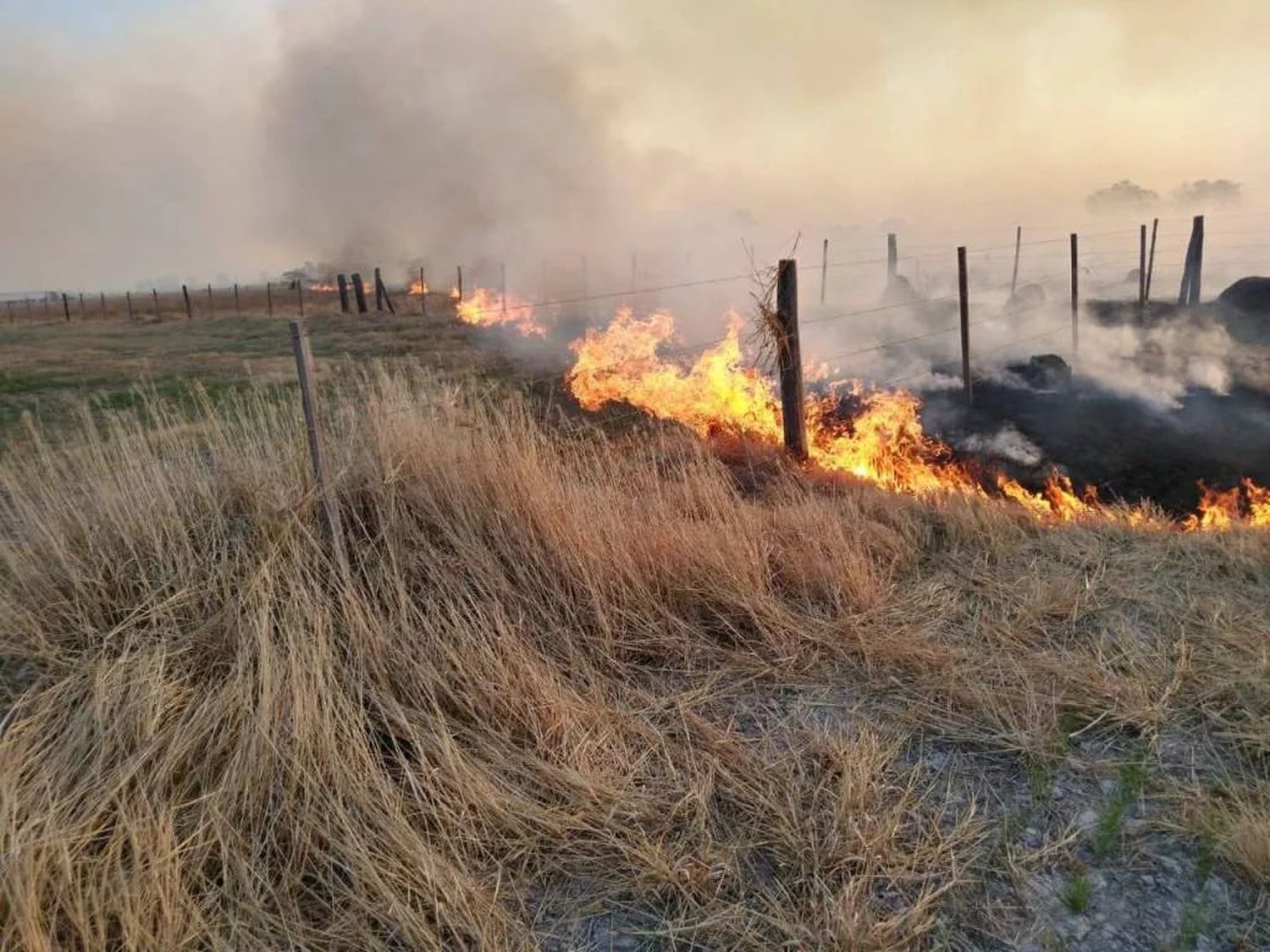 El grave incendio ocurrió en la zona rural de San Francisco. (Foto ilustrativa)