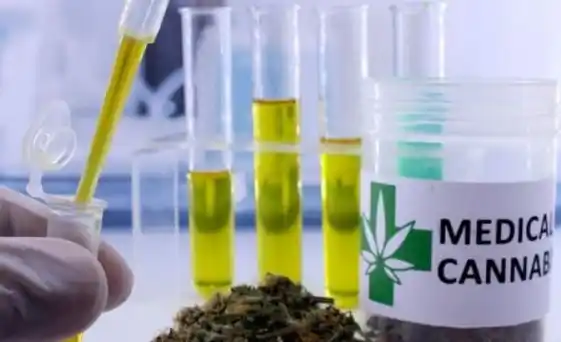¿El Iosper debe garantizar el aceite de cannabis?