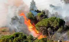 El plan de prevención de incendios continua desplegándose en la ciudad.