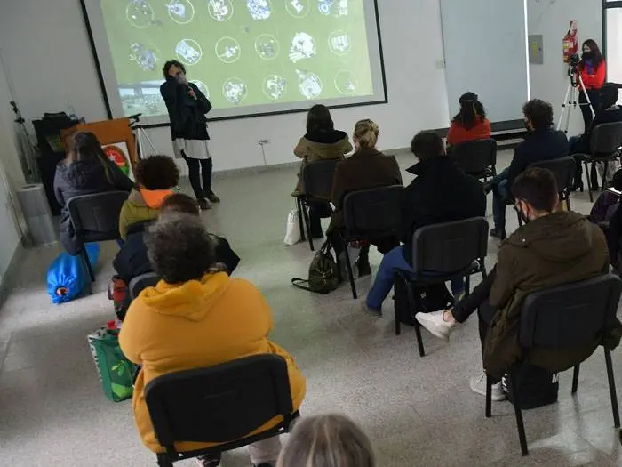 40 emprendimientos entrerrianos  seleccionados para el Programa  de Tutorías en Diseño 2022