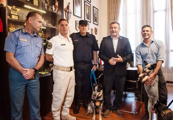 Incorporan perros a la Policía y el Servicio Penitenciario