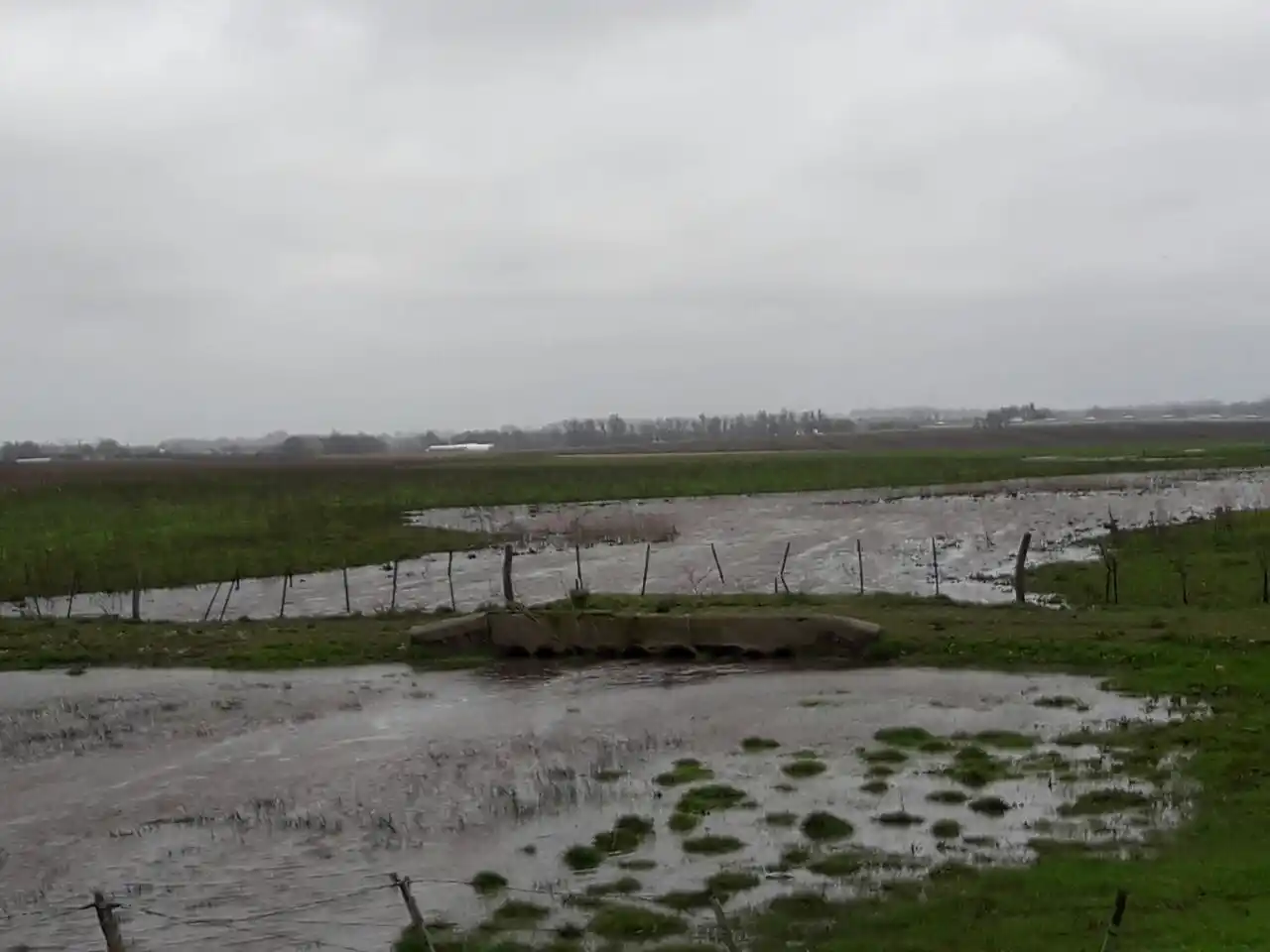 Frutihortícolas no salen de la crisis: "Es el peor año en mucho tiempo"