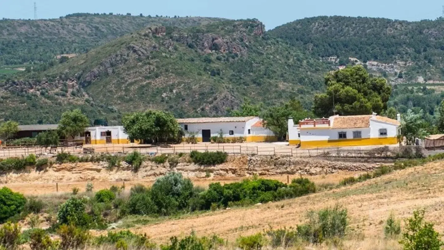 España ofrece voluntariado en un santuario de animales: alojamiento gratis a cambio de 25 horas de trabajo semanal