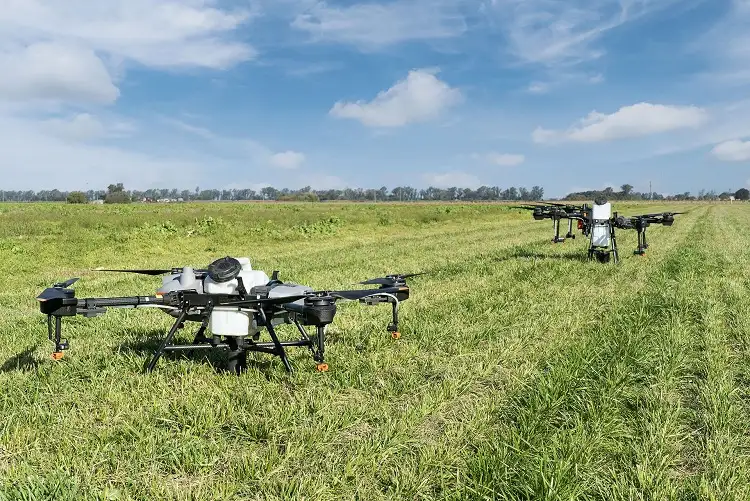 La Provincia habilitó oficialmente el uso de drones para aplicar agroquímicos