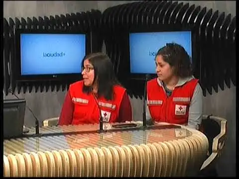 Acciones de la carrera de Acompañante de la Cruz Roja Tandil | La Ciudad