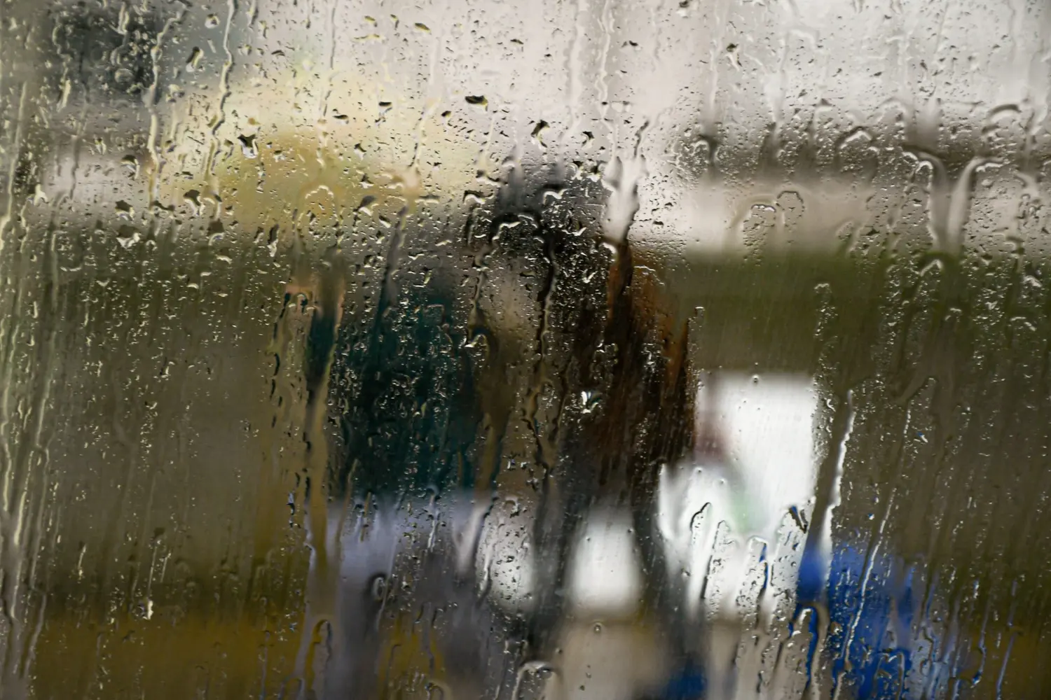 Una tarde de lluvia y frío en la cámara de Agostina Alonso