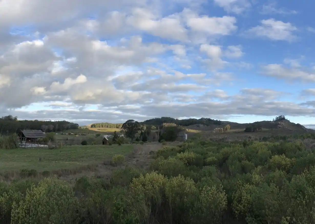 Le pidieron una indemnización al Municipio por el mal estado de una calle y el Ejecutivo lo rechazó
