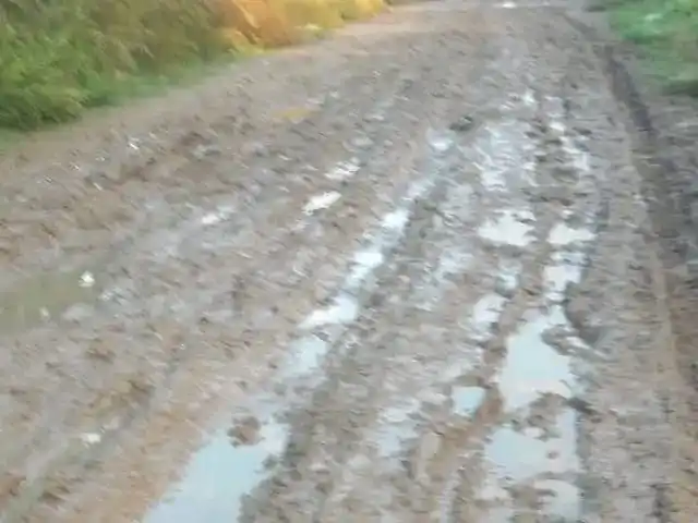 Vecinos del barrio reclaman por el estado de los caminos.