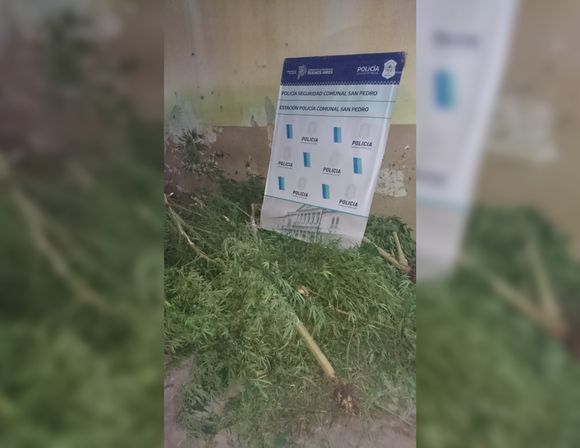 Villa Igoillo: conflicto familiar por cuatro plantas de marihuana