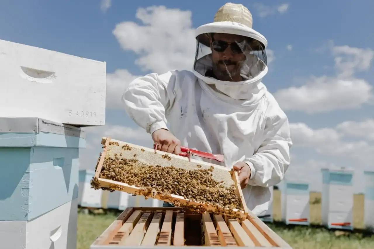 La propuesta busca generar un espacio de intercambio entre disertantes, productores y actores del sector apícola.