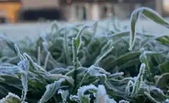 Ola polar: persisten las heladas severas en Gualeguay, pero la temperatura repuntará lentamente