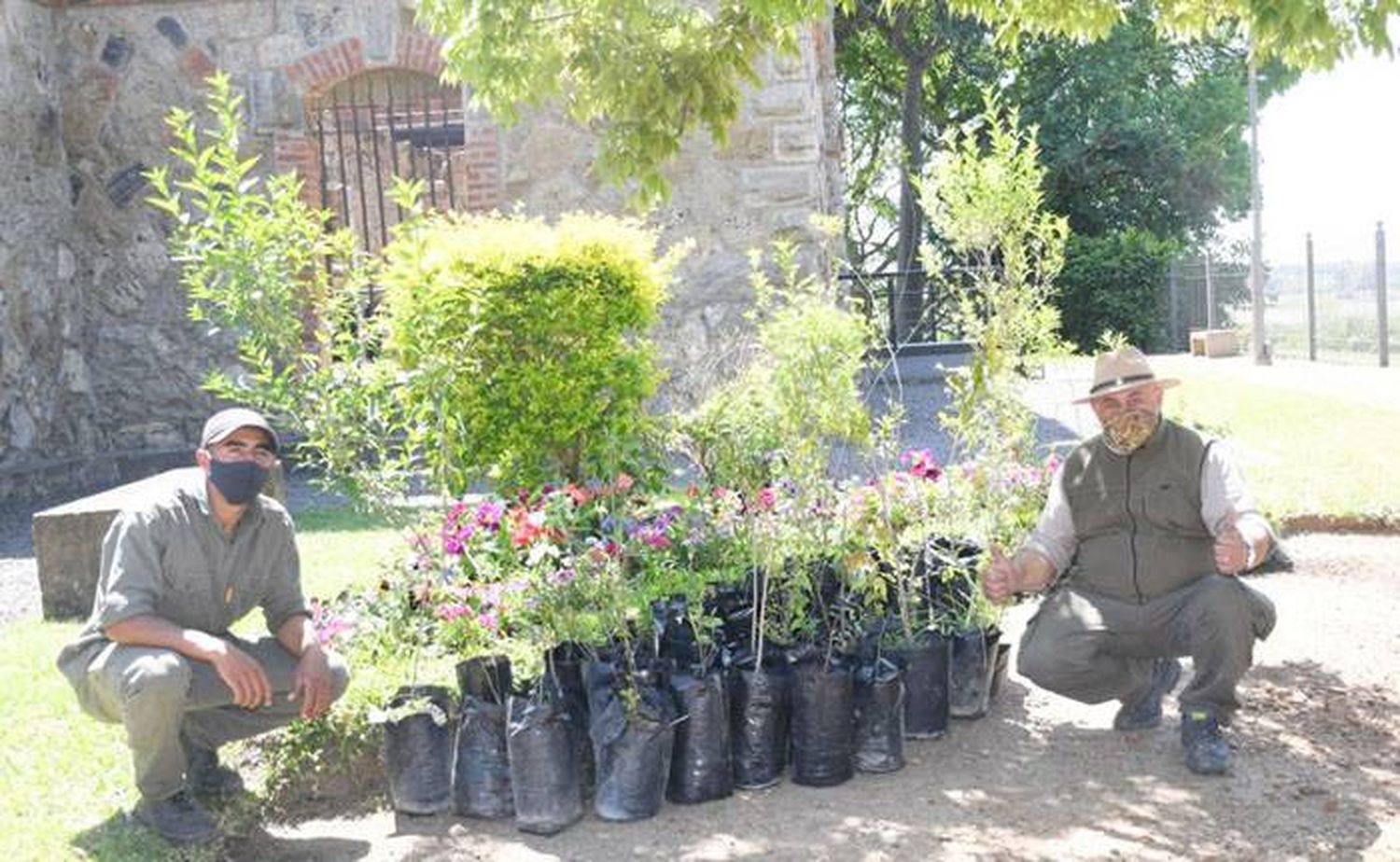 La CARU donó árboles  nativos al parque San Carlos