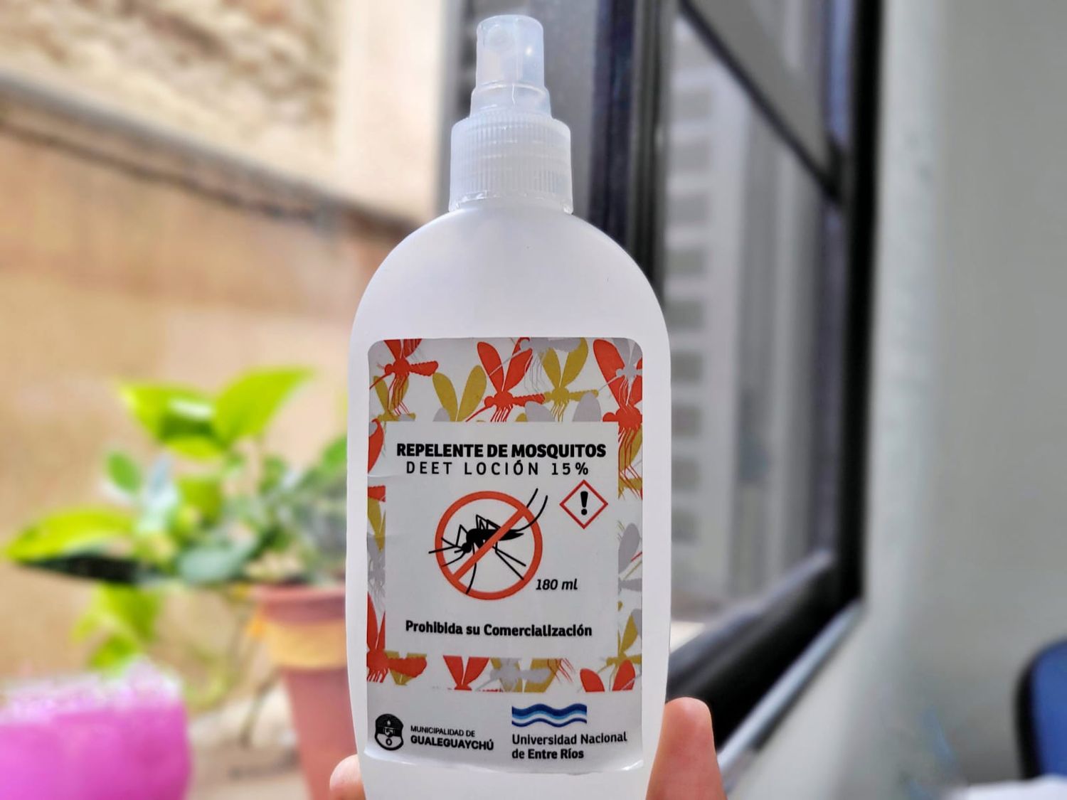 Gualeguaychú no registra ningún caso de dengue este verano