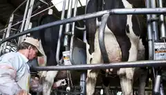 “Estamos tratando de llevar el litro de leche por debajo de los 40 pesos”