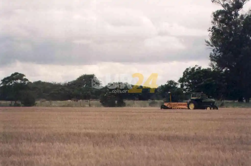 Un productor sufrió tres robos y teme por su seguridad: “El ladrón salió de la comisaría antes que yo” 