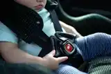 ¿Cómo asegurar a los más chicos en el auto?: el Municipio lanzó una campaña de concientización vial