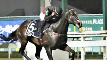 Se corre el Gran Premio Carlos Pellegrini, la carrera más importante de Sudamérica