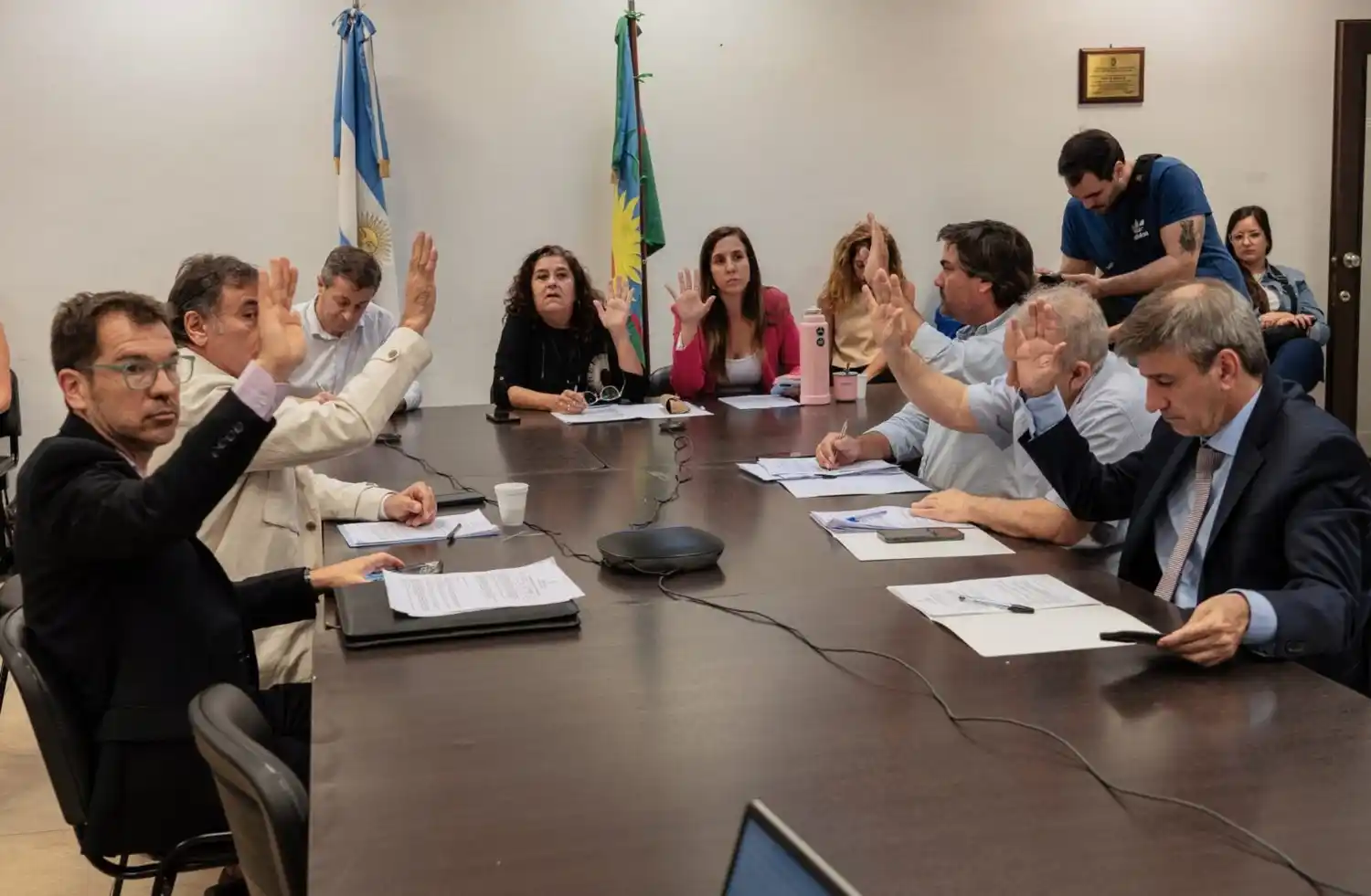 Fue aprobado en la comisión de Asuntos Constitucionales y Justicia de la Cámara de Diputados