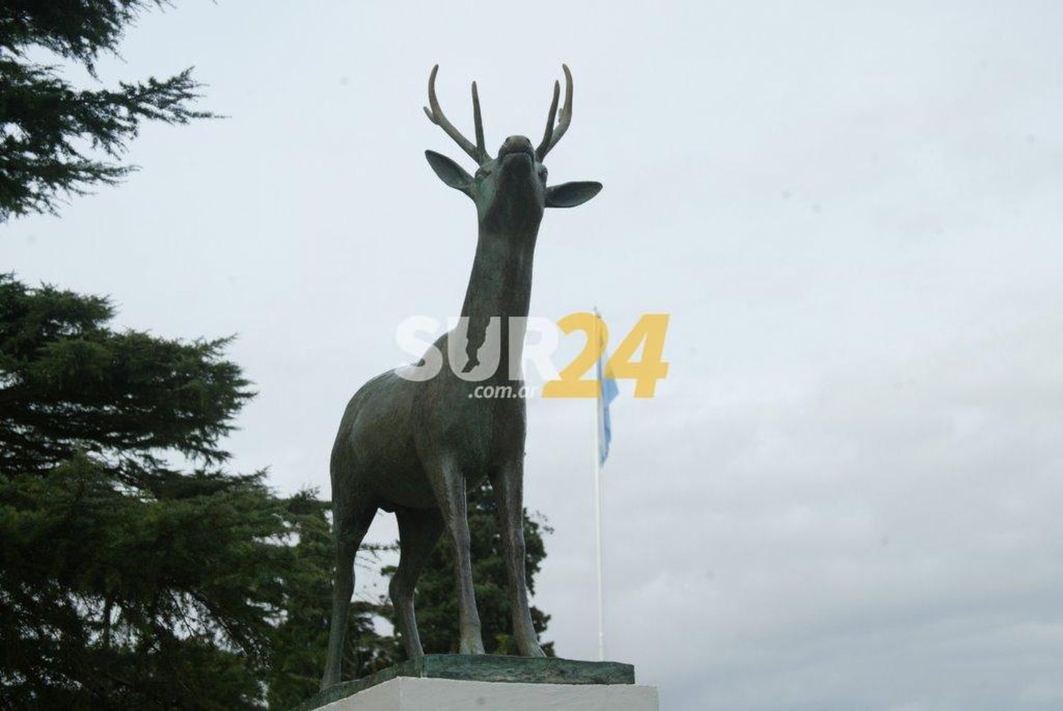 El veranito húmedo llegó para quedarse a Venado y la región y habría lluvias