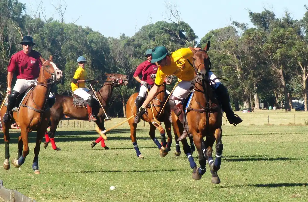 El polo tiene una nueva cita