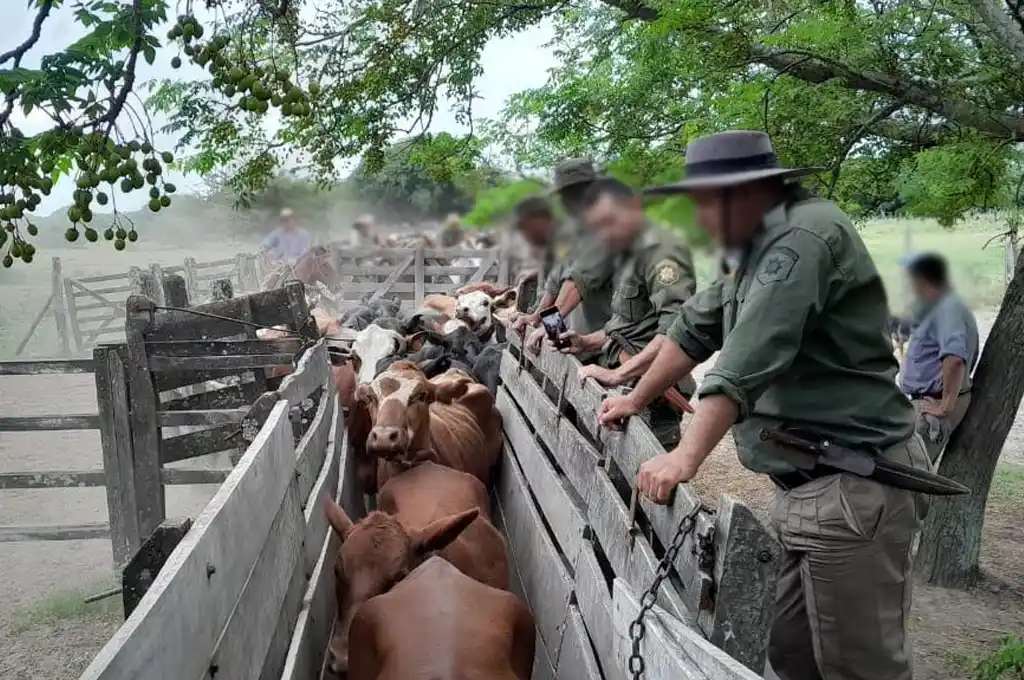 Tras una denuncia, “Los Pumas” trabajaron para esclarecer una numerosa faltante de hacienda