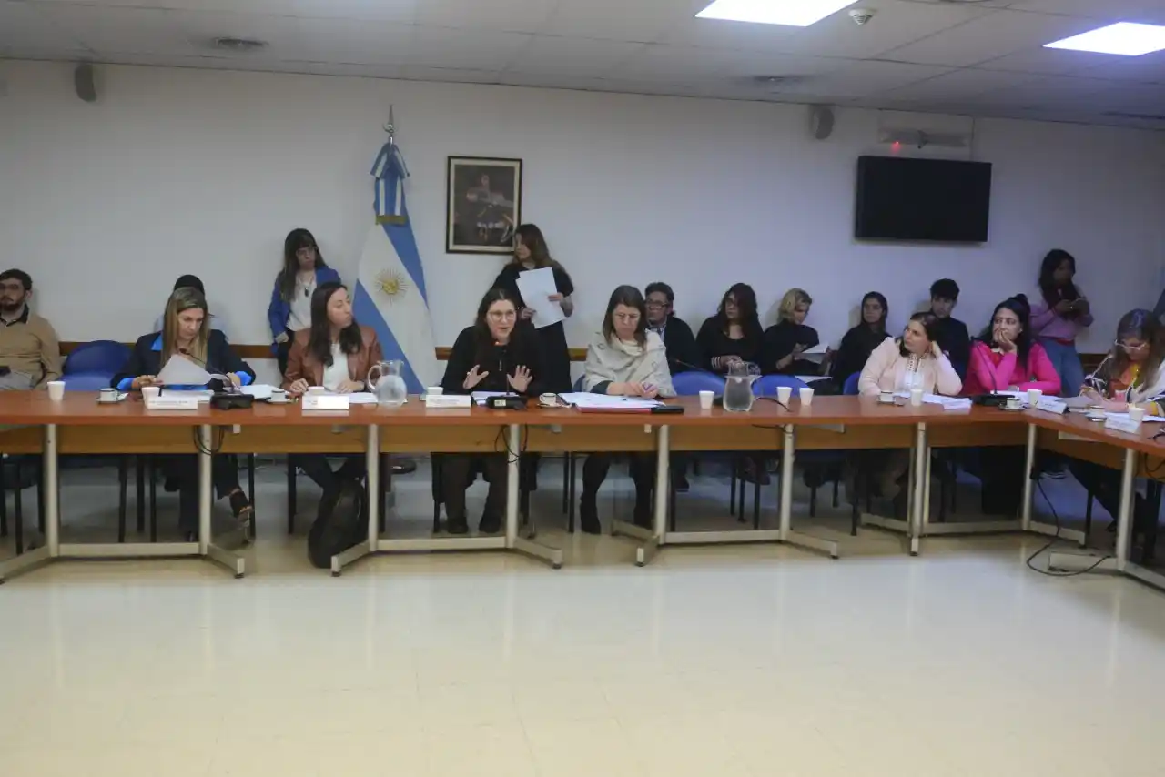 En vivo: Diputados trata la creación de una pensión reparatoria para personas travestis trans