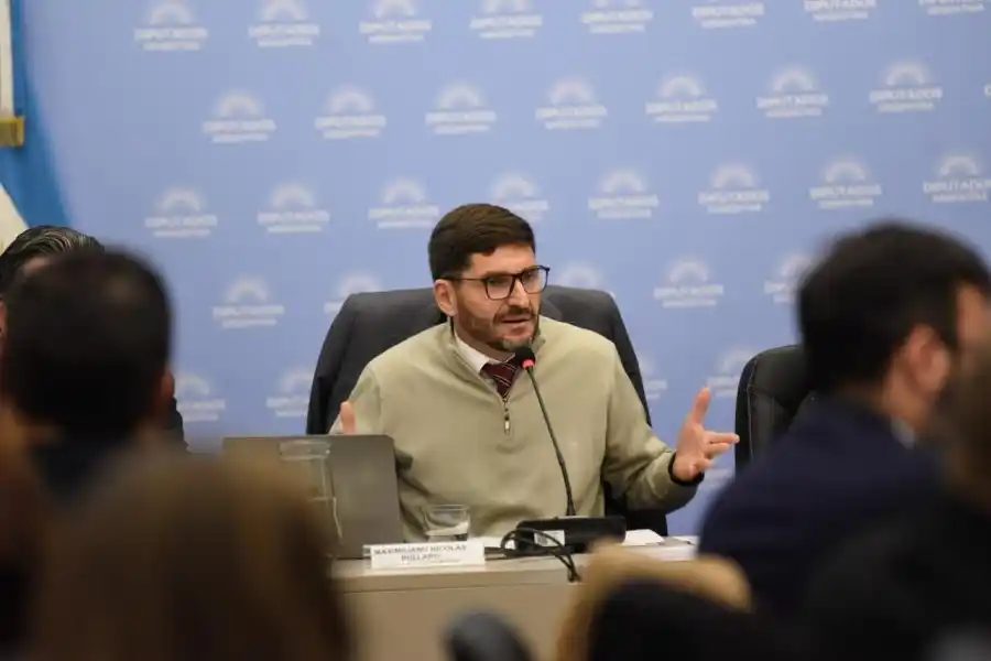 Pullaro expone en la reunión de las comisiones de Legislación Penal y de Seguridad Interior en el Congreso de la Nación