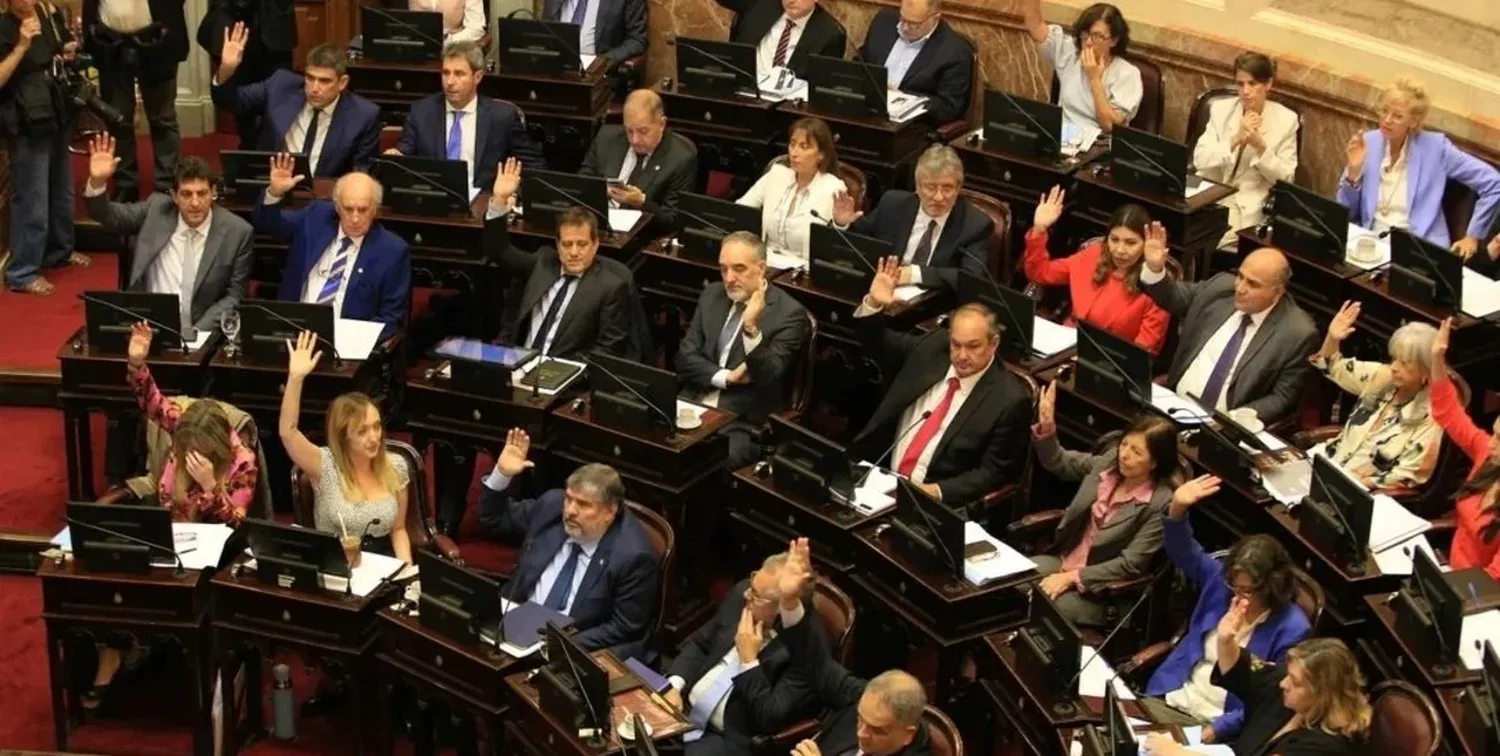 El presidente Javier Milei pierde su segunda votación en el Congreso. Antes fue la ley Ómnibus; el jueves pasado fue el DNU. Una vez en diputados y otra vez en senadores. Foto: Archivo - NA