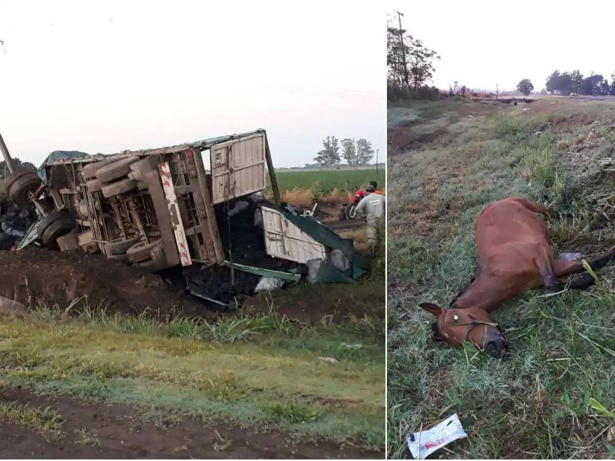 Un caballo suelto causó un choque doble en la ruta 34 