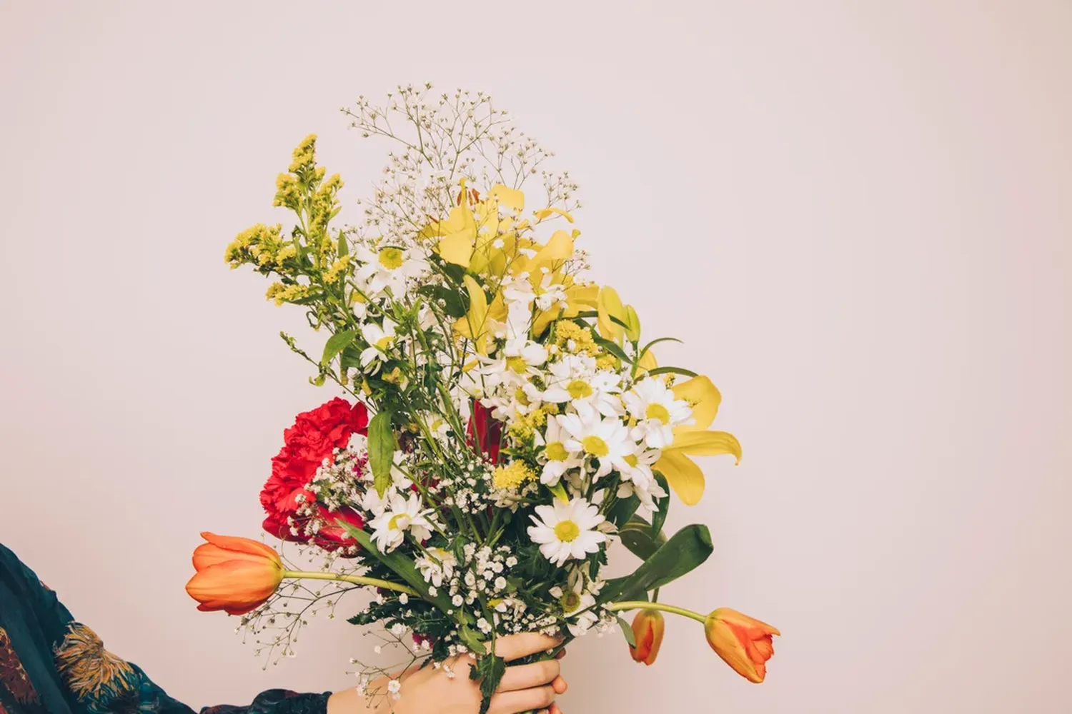 Día de la primavera: qué significado tienen las flores que se regalan