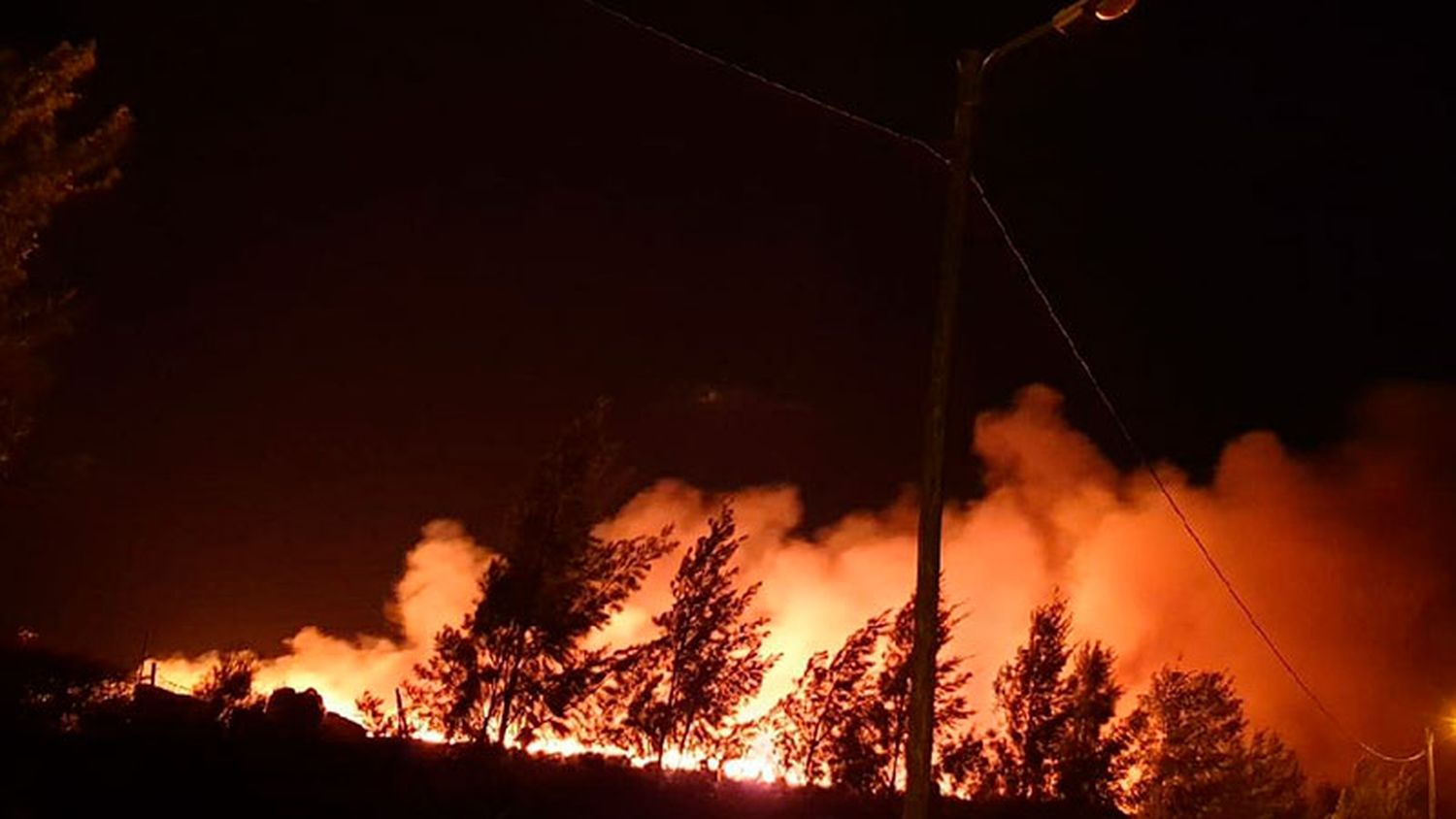 Ecoparque de Gualeguaychú sufrió un incendio de “dimensiones importantes”