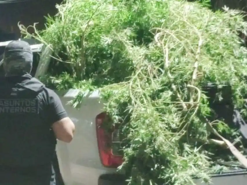 Hubo siete detenidos, uno de ellos es titular de la comisaría local.