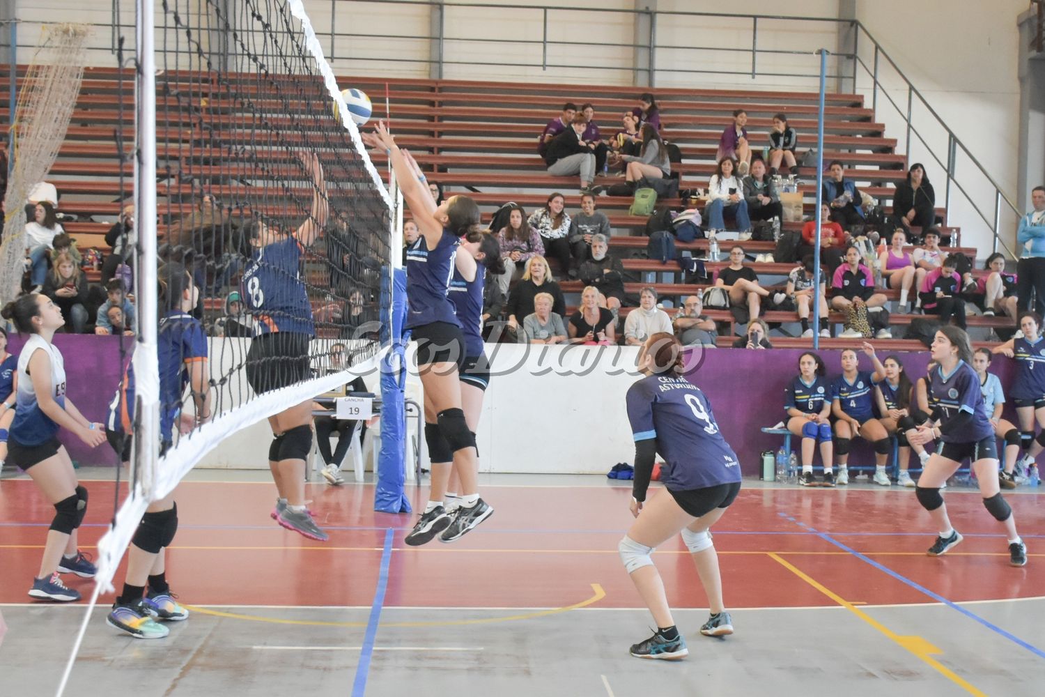 Open Neco 2