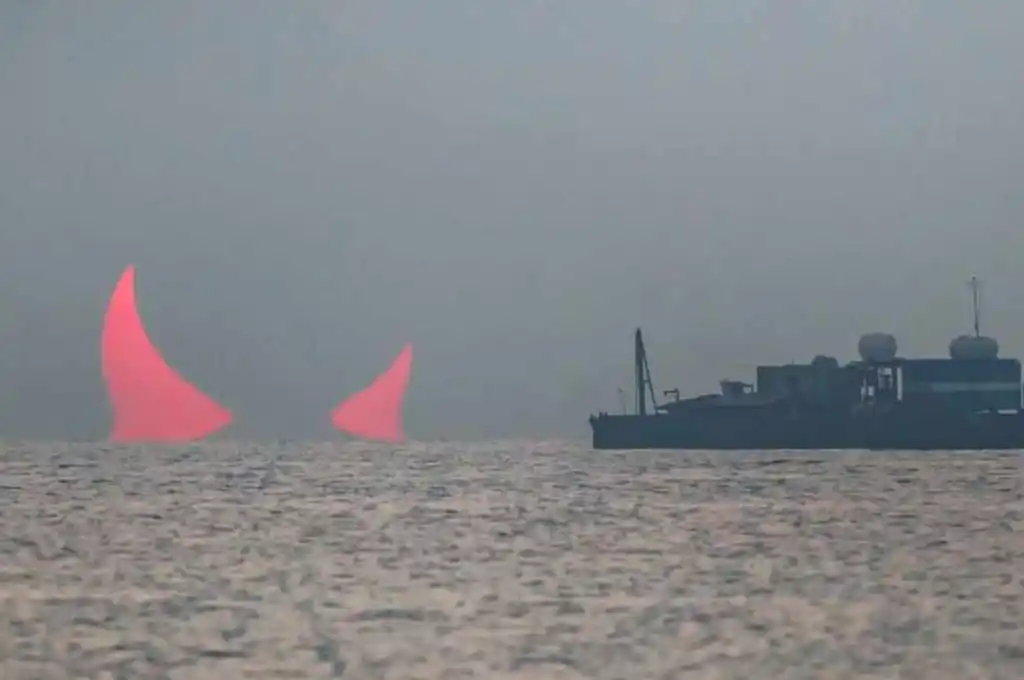 La imagen se volvió viral.