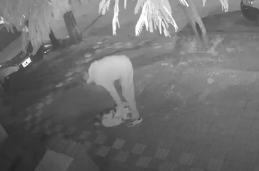 Caso "matagatos": "El bullying no convierte a las personas en violentas"