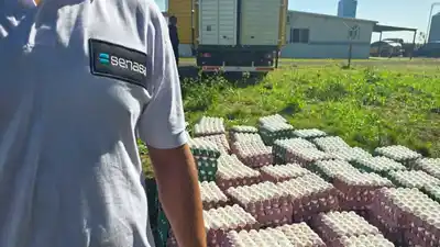 Decomisan 36 mil huevos frescos por falta de documentación sanitaria en ruta 18