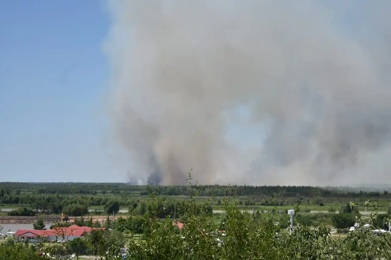 Incendios en la zona de islas: proponen adherir a la emergencia ambiental dictada por Kicillof