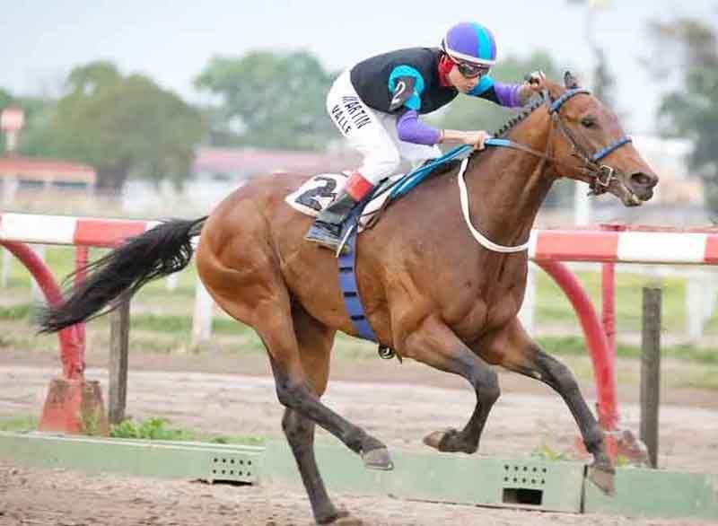 Sábado 6: Actividad Hipódromo de Palermo