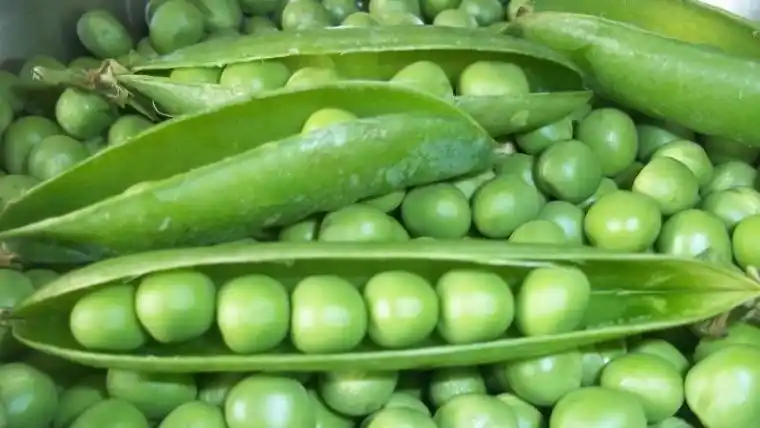 Reducen las retenciones para productos de las economías regionales