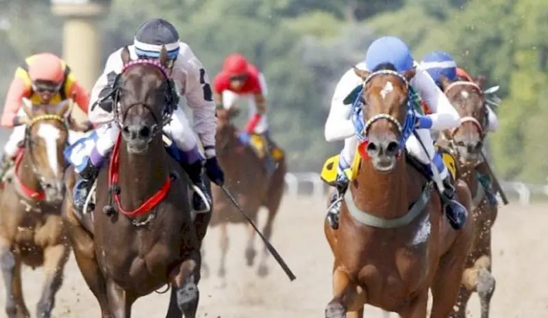 Martes 8: Actividad Hipódromo de La Plata